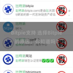 Bitpie支持 选择Bitpie的原因，你知道吗？