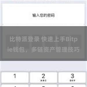 比特派登录 快速上手Bitpie钱包，多链资产管理技巧