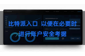 比特派入口  以便在必要时进行账户安全考据